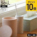 【あす楽14時まで対応 ※日 祝除く】soil 歯ブラシスタンド トゥースブラシスタンド 珪藻土 ホワイト JIS-B121 送料無料 / ソイル 歯ブラシ立て 歯ブラシホルダー 歯ブラシ入れ 吸水 速乾 乾燥 調湿 TOOTHBRUSH STAND 日本製 アスベスト不使用 母の日