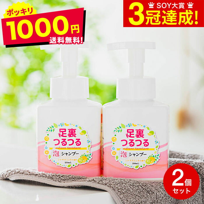 足裏つるつる Eフット泡シャンプー 250ml × 2個セット 1000円ポッキリ 送料無料 日本製 のし・包装・メッセージカード不可 シトラスミントの香り 爽...