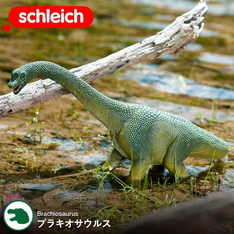 シュライヒ Schleich ブラキオサウルス Dinosaurs 恐竜 あす楽 ダイナソー ドイツ フィギュア 玩具 おもちゃ 雑貨 リアル 手塗り 知育玩具 インテリア 教育 プレゼント おしゃれ おすすめ ジュラシック クリスマスプレゼント 恐竜グッズのジュラ屋