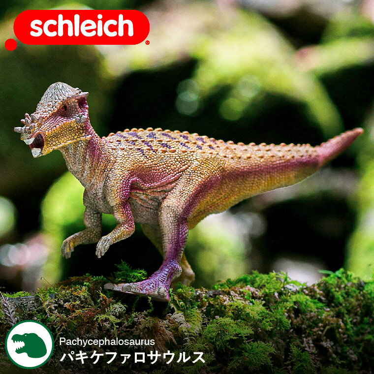 シュライヒ Schleich 15024 パキケファロサウルス Dinosaurs 恐竜 ダイナソー ドイツ フィギュア 玩具 おもちゃ 雑貨 リアル 手塗り 知育玩具 インテリア 教育 おしゃれ おすすめ ジュラシックプレゼント 贈答品 父の日ギフト お中元 夏ギフト 御中元