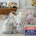 【出産祝い】TINOふわぬい おむつケーキ クリアバッグ ギフトセット | ぬいぐるみ おしゃれ ナチュラル 男の子 女の子 フェイスタオル パンパース テディ...