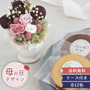 【母の日 まだ間に合う 楽天1位】 プリザーブドフラワー フルレット+ミニバームクーヘンセット 父の日 敬老の日 結婚祝い 退職祝い 誕生日祝い 開店祝い 新築...