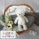 【 レンタル ニューボーンフォト セット 】Petit bouquet Heartbasket グリーンブーケ (2泊3日) 記念日 誕生日 ご出産・内祝い ...