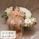 【レンタル ニューボーンフォトセット】 Montant antiqueニューボーンフォト レンタルセット (2泊3日) 記念日 誕生日 ご出産・内祝い おめでた...