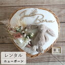 【レンタル ニューボーンフォト セット】Petit bouquet Heartbasket ピンクブーケ (2泊3日) 記念日 誕生日 ご出産・内祝い おめで...