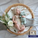 マタニティフォトシール ステッカー 全2色 マタニティー ペイント NtoM シンプル オシャレ かわいい テスター付き 妊婦 メモリアル ボディペイント ベリーペイント ボディー シール イラスト風 セルフ マタニティシール 記念日 初めて 写真撮影