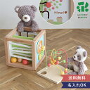 【名入れ 1歳誕生日】あそびたっぷり フルーツアクティビティボックス 知育玩具 キューブ くだもの おもちゃ ぽっとんおとし スロープトイ ルーピング ウッディ...
