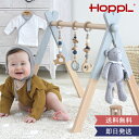 【出産祝い】HOPPL ベビージムセット 木製 ナチュラル おしゃれ シンプル メリー プレイジム出産祝い あかちゃん 赤ちゃん 木のおもちゃ 北欧 ホップル ...