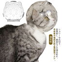 猫 爪切り 透明 猫用マスク キャットマズル 爪切り補助具 キャットマスク 猫の爪切り補助マスク ネコ 通気 口輪 宇宙ヘッドギア口輪 ねこ 美容 シャワー 猫用マスク 噛みつき防止 拾い食い防止 ペットエリザベスカラー エリザベスカラー ペットマスク(4)