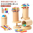 色の分類 教具 木のおもちゃ おもちゃ 子供 3歳 指先の知育 はめ込み 知育玩具 1歳 2歳 女の子 クリスマス 赤ちゃん 誕生日プレゼント 男の子 4歳 ぽっとん落とし おもちゃ 幼児 新年 知育玩具 ギフト 指先訓練 早期開発 誕生日