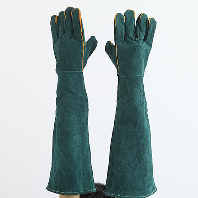 �ڥåȥ������� ���ߤĤ� ���� 60 ���� �������������� ���� ��� ��ɤ����к� �ݸ���� �ڥåȥȥ졼�ʡ� ������ �ڥåȥ���å� ����� ���꡼��