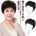 帽子感覚で手軽にかぶるだけの「本格ウイッグ」です。ウィッグ自体は帽子になっていて、締めつけにストレスが少ない作りになっており、サイズ調整可能なアジャスターも付いています！帽子タイプなので締め付け感がなく、ストレスフリー。幅広い年齢層・ファッションに対応するシンプルなデザインです。ドライヤーの使用はもちろん、コテやホットカーラーを使って自由にアレンジもお楽しみいただけます。馴染みの良い2色展開です。 サイズFサイズについての説明フリーサイズ素材人毛色ナチュラルブラック ダークブラウン備考 ●サイズ詳細等の測り方はスタッフ間で統一、徹底はしておりますが、実寸は商品によって若干の誤差(1cm〜3cm )がある場合がございますので、予めご了承ください。●製造ロットにより、細部形状の違いや、同色でも色味に多少の誤差が生じます。●パッケージは改良のため予告なく仕様を変更する場合があります。▼商品の色は、撮影時の光や、お客様のモニターの色具合などにより、実際の商品と異なる場合がございます。あらかじめ、ご了承ください。▼生地の特性上、やや匂いが強く感じられるものもございます。数日のご使用や陰干しなどで気になる匂いはほとんど感じられなくなります。▼同じ商品でも生産時期により形やサイズ、カラーに多少の誤差が生じる場合もございます。▼他店舗でも在庫を共有して販売をしている為、受注後欠品となる場合もございます。予め、ご了承お願い申し上げます。▼出荷前に全て検品を行っておりますが、万が一商品に不具合があった場合は、お問い合わせフォームまたはメールよりご連絡頂けます様お願い申し上げます。速やかに対応致しますのでご安心ください。