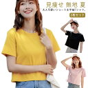 通勤 Tシャツ ショートTシャツ 半袖 カットソー 10代 ラウンドネック 半袖tシャツ 丸首 2枚セット ショート丈 トップス クロップド丈tシャツ シンプル...
