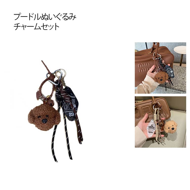 ���㡼�� �ѥ饳���ɥ��㡼�� �����ۥ���� ���㡼�� �ס��ɥ� �Хå����㡼�� ���å� ���̥��㡼�� �Хå����㡼�� �Хå����������꡼ ����餸���Ĥ� ����...