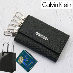 ڥåԥ̵ۥХ󥯥饤 Calvin Klein  6Ϣۥ 쥶 ֥å 31CK170003