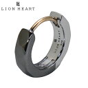 【10%OFFクーポン・ブラックフライデー】【クリーナープレゼント】ライオンハート ピアス LION HEART for Gift THE EDGE カッティン...