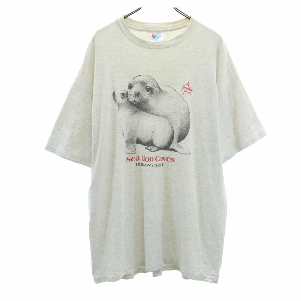 古着 ヘインズ Hanes 90s USA製 オールド プリント 半袖 シャツワンピース XXL グレー ビックサイズ レディース 【中古】 【PD】