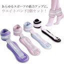 アンクルウエイト ウエイト 重り トレーニング 2個セット 0.75kg パワーリスト 足首 トレーニング 0.5kg 腕 手首 筋トレ 脚用 脚 足 重り ウ...
