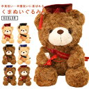 卒園祝い 卒団記念品 ぬいぐるみ プレゼント 送料無料 卒業祝い くま ぬいぐるみ 卒業記念ベア 卒業記念品 テディベア プレゼント ギフト 同窓会