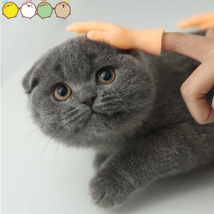 ネコ おもちゃ おもちゃ 猫 面白い 6点セット 犬 撫でる 指サック ネコ 猫 指サッ...