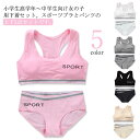 ジュニア向け 下着セット 子供 キッズ スポーツブラ ショーツ セット カップ付き 女の子 中学生 小学生 子供用下着 ブラジャー 肌着 英字ロゴ 無地 インナ...