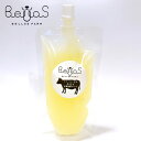 ジャージー牛ホエイ 200ml 栄養補給サプリ(ペット用)