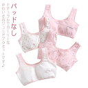 ハーフトップ パッドなし コットン スポーツブラジャー 子供下着 ブラジャー ブラ スポーツブラ スポブラ 綿 ジュニア 女の子 ハーフトップブラ こども 子ど...