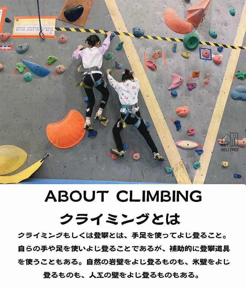 クライミングホールド【30個セット】 ロック クライミングウォール スポーツクライ...
