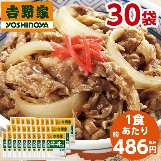 吉野家 大盛 牛丼の具 冷凍 160g 30袋 