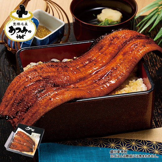 うなぎ 蒲焼き 長焼き 国産 お中元 御中元 うなぎ蒲焼き メガサイズ 愛知県 三河産 うなぎ蒲焼 180g 3尾 2025 【送料無料】