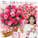 \遅れてごめんね/ 母の日 プレゼント 花 2025 ギフト カーネーション 花鉢 鉢植え スイーツ お菓子 長崎 カステラ セット さくらもなか いちごホイッ...