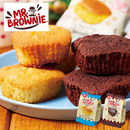 \11月限定最大100%ポイントバック/ バレンタインデー 2026 人気 チョコ ギフト ブラウニー ミスターブラウニー 2種 セット 4-7日前後お届け 【...