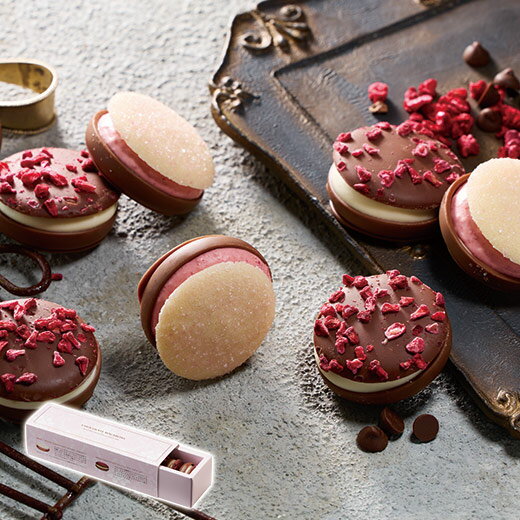 バレンタイン 2025 人気 ギフト チョコレート リマー チョコレート マカロン 8粒 【送料無料】のサムネイル