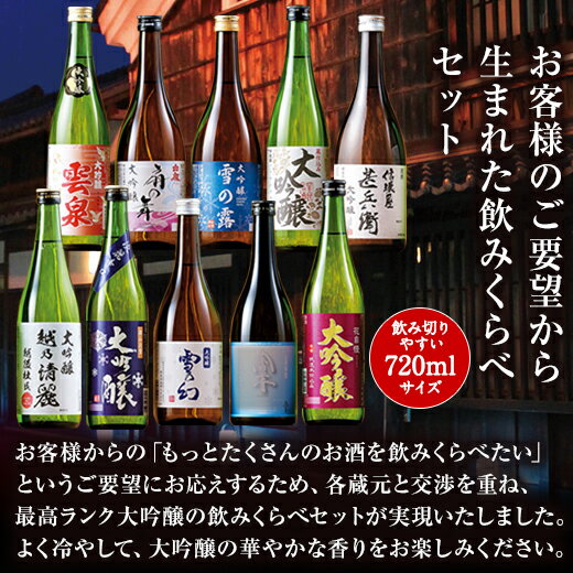 【50%OFF！プレゼント付】全10酒蔵の大吟醸飲みくらべ10本組 飲み比べ 飲み比べセット 日本酒 大吟醸