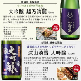日本酒大吟醸酒特割全国10酒蔵の大吟醸飲みくらべ10本組720ml第2弾50％オフ