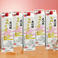 日本酒 父の日 紙パック 大吟醸酒 大吟醸 名城千姫 1800ml パック 5本組 1800ml 5本 パック酒 送料無料 【7560円(税込)以上で送料無料】