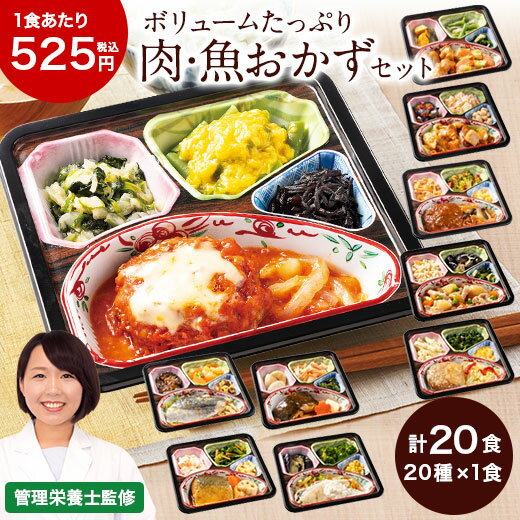 冷凍弁当 肉 魚 20種 20食 主菜 セット 健康 おかず 冷凍 食品 惣菜 お惣菜 食品 セット ...