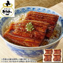 蒲焼き 【5/5限定！最大100％ポイントバック】 食品 冷凍食品 冷凍 おかず お弁当うなぎ 鰻 ウナギ 愛知県三河産 うなぎ 蒲焼 4袋【7560円(税込)以上で送料無料】