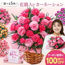 母の日 プレゼント 花 2025 予約 ギフト カーネーション 花鉢 鉢植え さくらもなか いちごホイップ オルフィカ スイートジュエル フロランタン 5号 母...