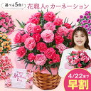 母の日 プレゼント 花 2025 予約 ギフト カーネーション 花鉢 鉢植え さくらもなか いちごホイップ オルフィカ スイートジュエル フロランタン 5号 母...