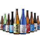 日本酒 父の日 飲み比べセット 飲み比べ 大吟醸酒 特割 全国 10酒蔵 大吟醸 原酒 第2