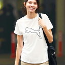 カットソー 夏 S M Lサイズ＜puma＞キャットTシャツ ベルーナ 40代 50代 60代 レディース ミセス ファッション カットソー 夏服 プーマ