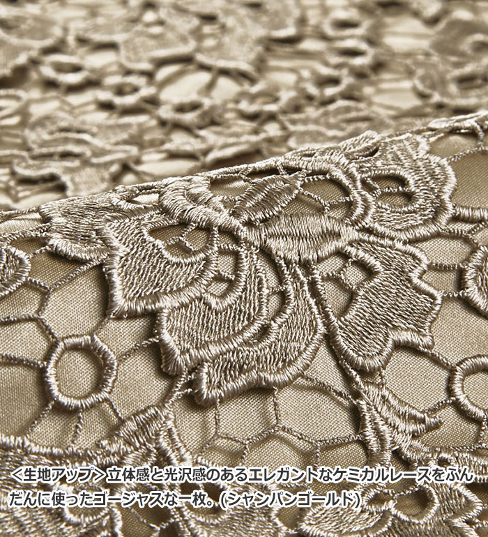 チュニック M L LL 3L 4L 5L 総ケミカルレースエレガントチュニック(M〜5L) ベルーナ Belluna 40代 50代 60代 ミセス 大人 レディース 秋冬 秋冬服 トップス