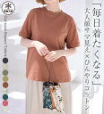 \まとめ買い最大25%OFFクーポン/ Tシャツ レディース ヒンヤリ!綿100%大人顔サマ見えTシャツ 2025夏 ベルーナ belluna S-5L 母の日