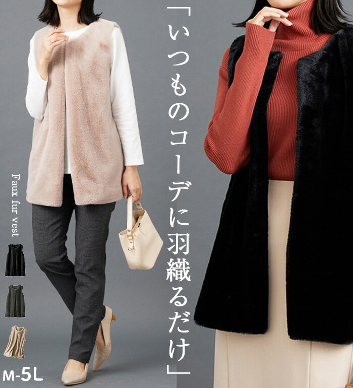 ޤȤ㤤ݥ桿٥ ǥ ۥåդ⤳⤳ե٥ ٥롼 belluna 2025 M5L ӥ塼о