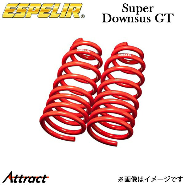 sp-downsus-gt-2.jpg