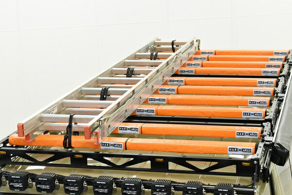 �ϡ��ɥ����� �ϥ������� PAD �ѥѥ����� ����ե顼���� 20�ܥ��å� HARD CARGO ��������ѡ��� �����ѡ���