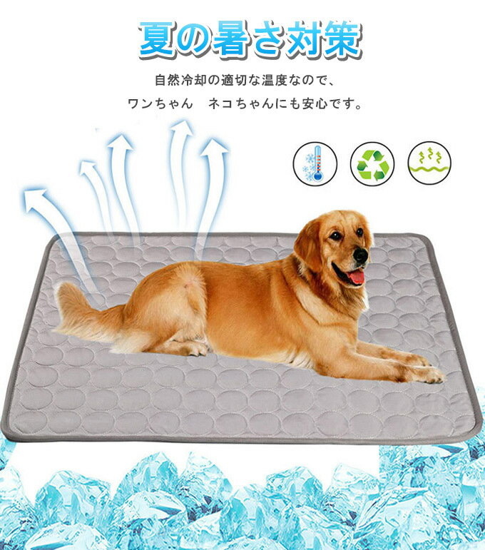 �ڥå� �� �Ҥ��� ��� �ޥå� ������ ������ ������ޥå� �䴶�ޥå� �� ǭ �ä��� Ǯ����к� �ѳ��� ������ �ɿ� ���� �ͥ� ���� ǭ�� �ܿ��䴶 �ޤ���� �� �����른����ޥå� �ڥå� ɽ�̤ˤϽ��餫���䴶���� ����̵��� ��ꤵ��䤫