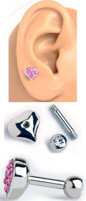 ��������ȡ��󤬥��饭��ȵ����ϡ��ȷ��С��٥� �ܥǥ��ԥ��� 14G�����䡼���֤ʤ�����ԥ����ˤ�������βİ����ǥ�����Υܥǥ����ԥ���