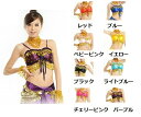 【533】プラスチックコイン ブラトップ (パット入り)トップス/ステージ衣装/発表会/ダンス着/アラビアン/アラジン/コスプレ/ハロウィン